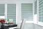 Polyester 100% de Roman External Window Blind Fabric de panne d'électricité