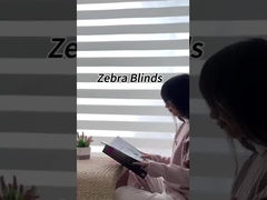 Le zèbre 100% de polyester aveuglent le petit pain de tissu 50 M/Roll pour le petit pain vers le haut du rideau